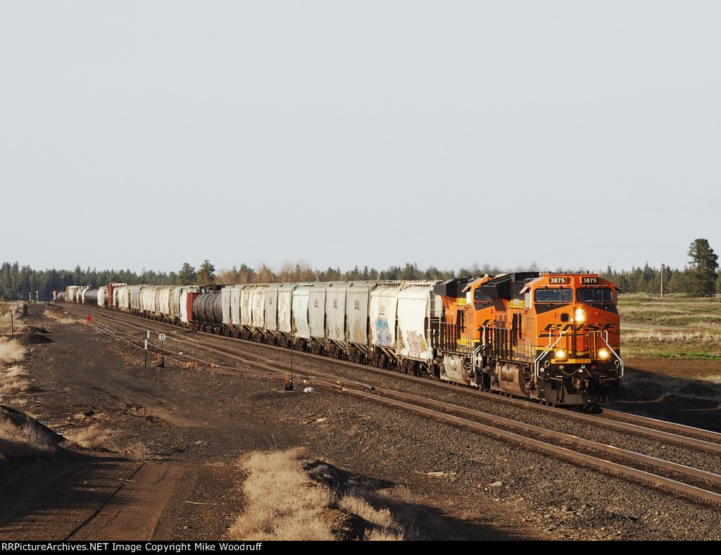 BNSF 3875